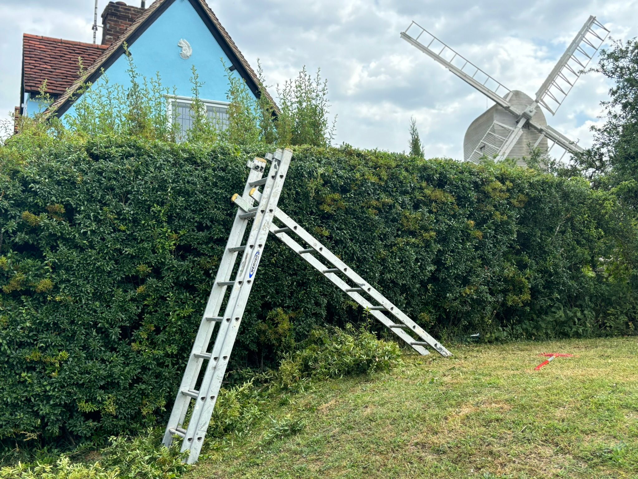 Professional tree surgery and hedge trimming with equipment